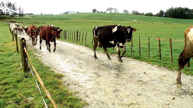 THE MIRAGE CREATED BY THE MIND смотреть онлайн