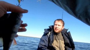 Рыбалка / Ловля окуня на Ладоге, Свири / Открытие сезона 2023