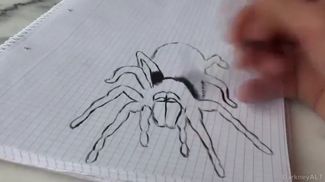 Видео Урок По рисованию Реалистичного Паука смотреть онлайн