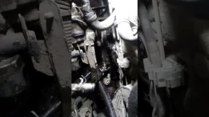 Опель мерива чистка клапана егр 1.3 дизель