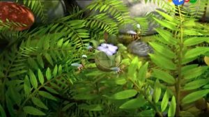 Пчёлка майя(29)