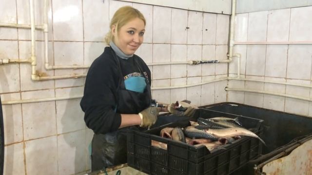 Инъектирование рыбы (ручной инъектор компании КФТЕХНО) смотреть онлайн