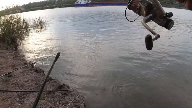 Рыбалка на реке Дон , в черте города Ростов-на-Дону ! Лов карася !