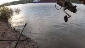 Рыбалка на реке Дон , в черте города Ростов-на-Дону ! Лов карася !