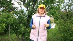 102_Болезни груши. Плодовая гниль