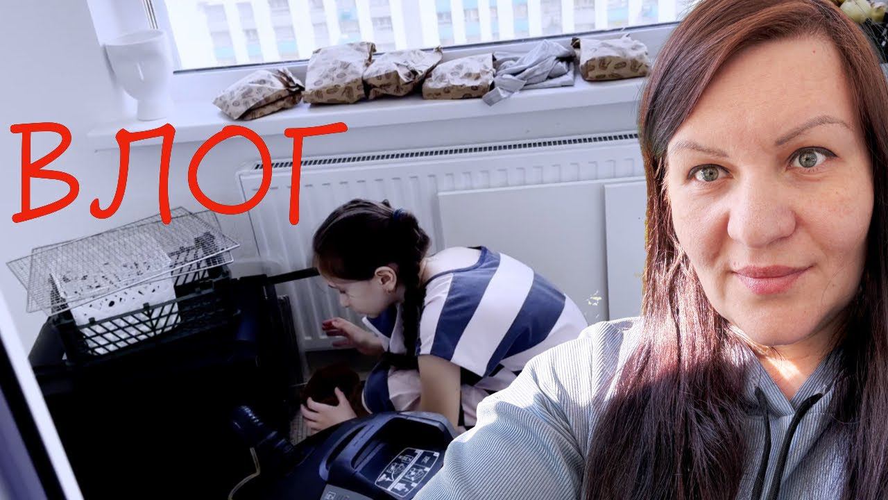 Переезд в Тюмень ✅ НЕ смогла отказаться от предложения Пошли на риск Рома пробует сделать сам Влог смотреть онлайн