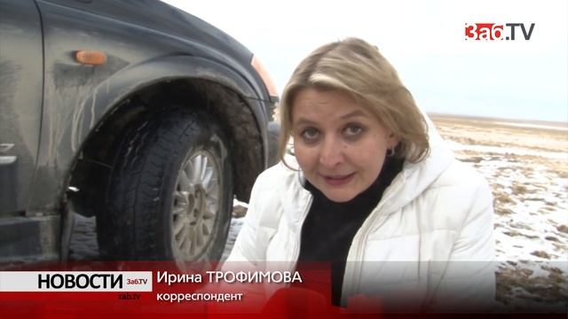 Семь диких котов манулов выпустили на волю в Даурском заповеднике смотреть онлайн