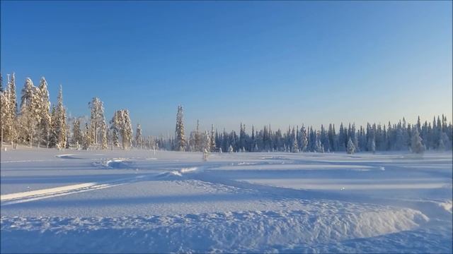 Lynx 49 Ranger 600 E-TEC 2015 - Deep snow freeriding смотреть онлайн