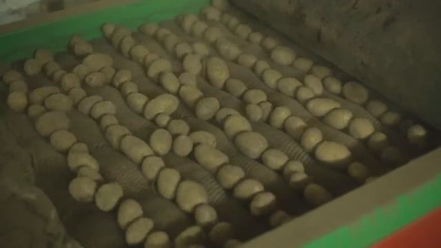 Машина сухой очистки овощей МСОК-5 смотреть онлайн