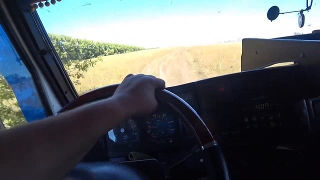 Молотим гречку. Очень жаркий день . смотреть онлайн