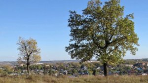 "ЛЕТО, МОЁ ЛЕТО"... (Фото Ал-дра Комова (Бугульма) - Поёт нар. арт. РСФСР Алексей Покровский)