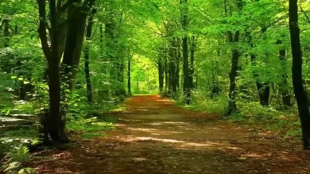 Découvrez l'Incroyable Message Caché de Votre Autre смотреть онлайн