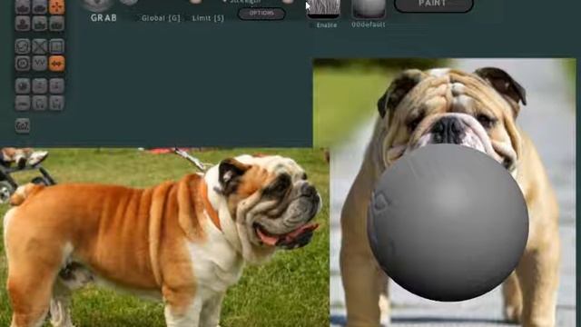 Sculptris собака бульдог и раскрасить урок №1 смотреть онлайн