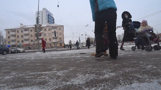 Как научить собаку слушаться на улице? смотреть онлайн