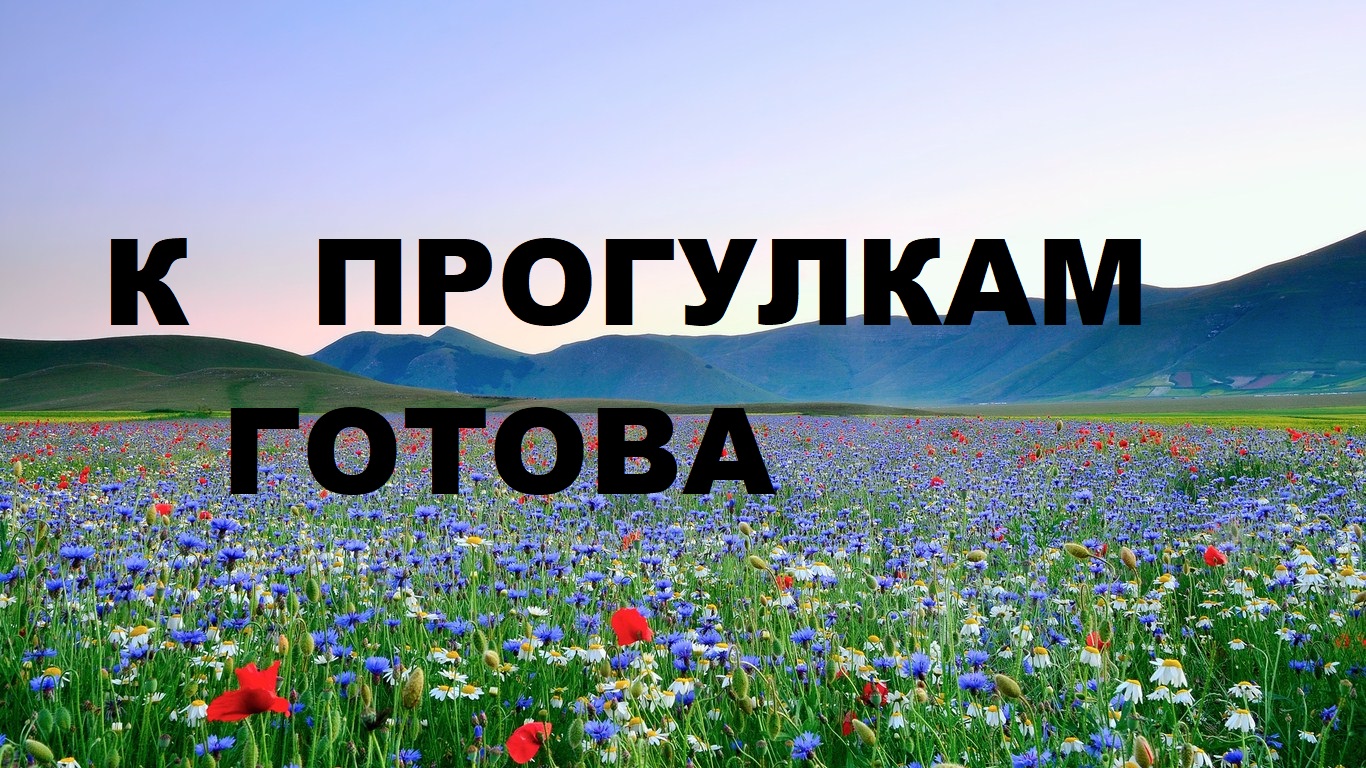 Маленькие сумочки для прогулок.Интересная форма.(2023г) смотреть онлайн