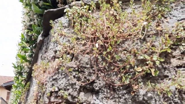 Продолжаем осматривать "Слоеный пирог" и неровные стены арки и проемы- реальность сжимается! смотреть онлайн