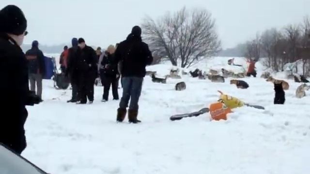 Чемпионат РКФ ранга CACIT, дер. Коробово, 12-13 марта 2011 смотреть онлайн