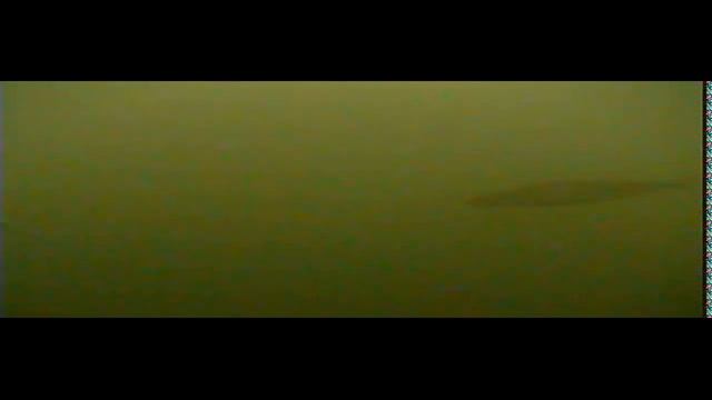 СпортИв-комплект. Видео с самодельной подводной камеры с реки Касть в феврале смотреть онлайн