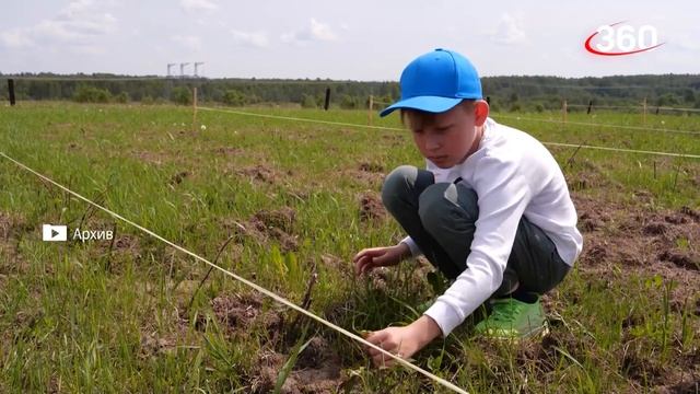 Большое интервью Артёма Климовича. Как в подмосковье начать «Пчелиный бизнес» с нуля! смотреть онлайн