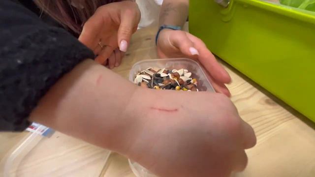 Хомяк по имени Фунтик . Рацион питания хомяков и его итальянский дом смотреть онлайн