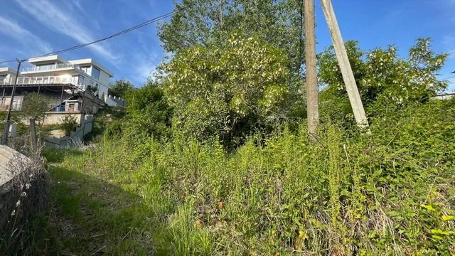 Участок в Сочи с видом на море. С разрешением на строительство и проектом. Купить: +79044717177 смотреть онлайн