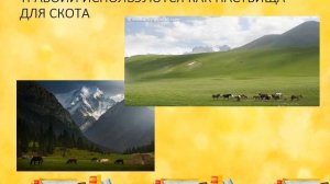 РОДИНОВЕДЕНИЕ 2 КЛАСС