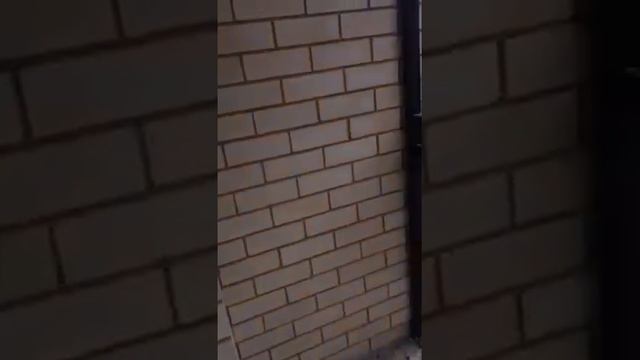 Сахалинская 15 2 ккв продажа 57 квм смотреть онлайн
