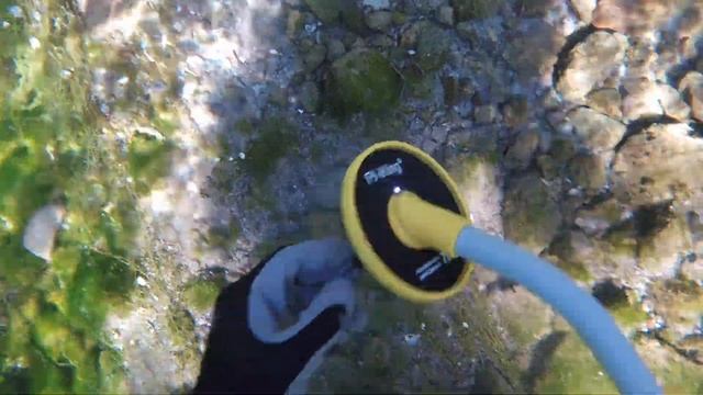 iKing 750 Underwater Metal Detector Review & testing (waterproof) - Wedigout, Richcat, TTlife, Keco смотреть онлайн