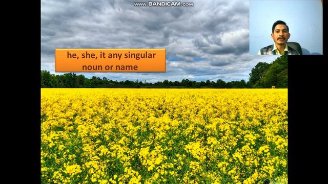 Negative Sentence of Present Simple Tense смотреть онлайн