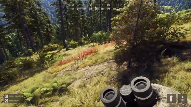 NEW PATCH - Fixing Blood Tracks, Keybindings, FOV and More! смотреть онлайн