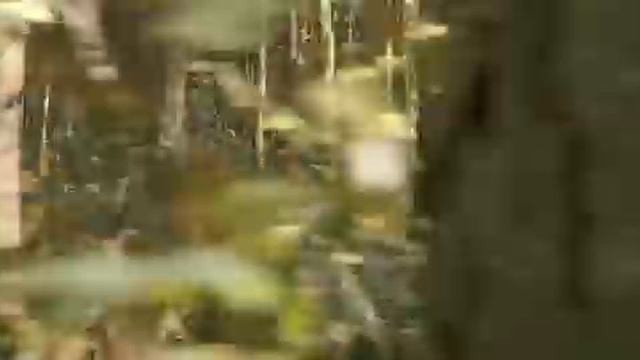 Пропавшая 2020