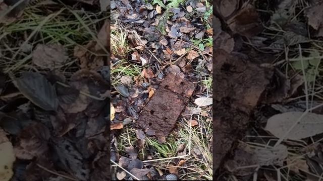 Металокоп с Мд 4030 смотреть онлайн