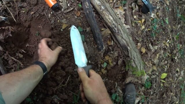 The Golden Bird - Spectacular Relic Hunt With Silver and More! смотреть онлайн