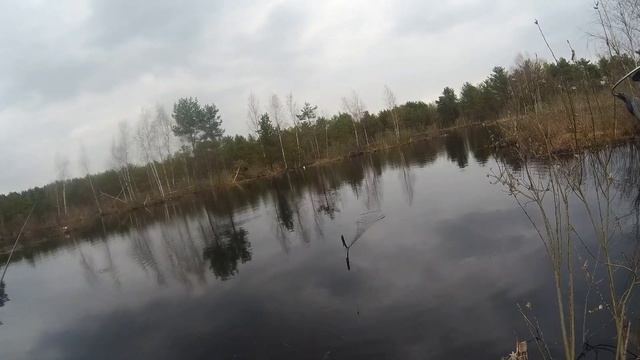 ✔КАРАСЬ НА УДОЧКУ/ РЫБАЛКА 2021 ВЕСНА МАЙ/ ЛЕСНОЕ ОЗЕРО УМЕЕТ УДИВИТЬ.Трофейный карась смотреть онлайн