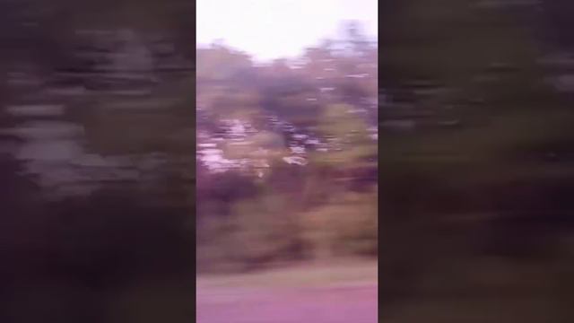 Приехали домой в красный яр смотреть онлайн