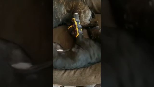 Сладка дрёма. Итальянская СИЕСТА