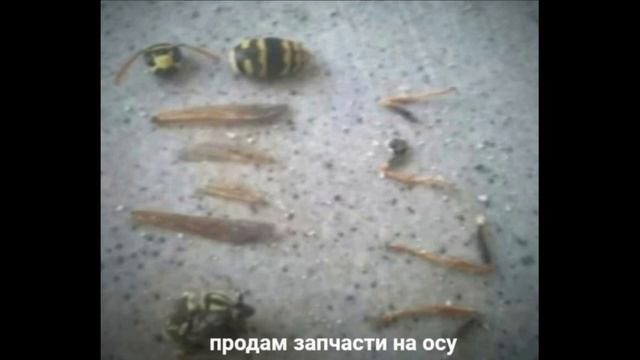 продам запчасти на осу смотреть онлайн