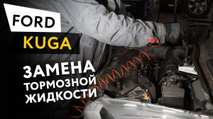 Замена тормозной жидкости Ford Kuga