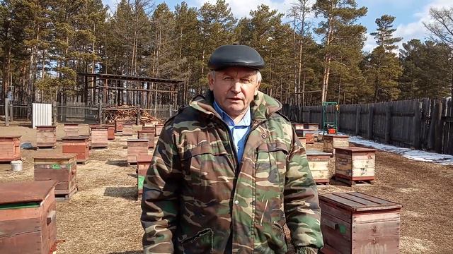 Первый облёт Зимовка 6 месяцев Карпатская пчела смотреть онлайн