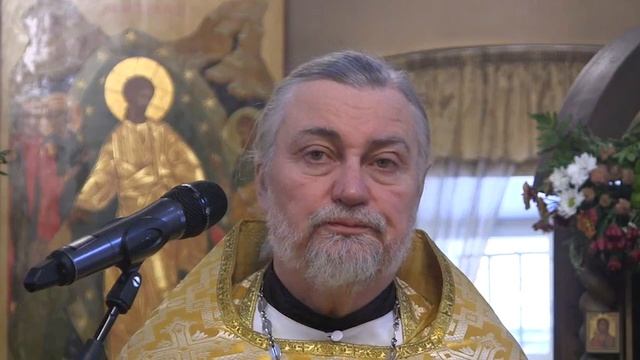Проповедь на Литургии 20 11 2022 свящ. Петр Коломейцев смотреть онлайн