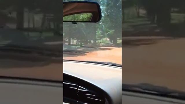 Wild safari tour смотреть онлайн