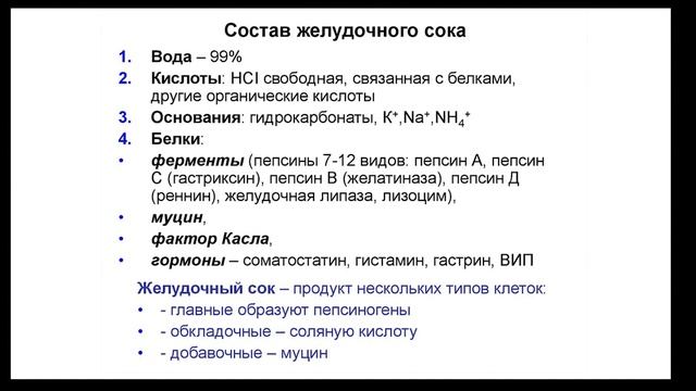 Пищеварительная система (часть 4) | Видеокурс Андрея Антонова "Основы физиологии человека" смотреть онлайн