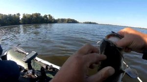 ПОПАЛ НА СОМА НА КВОК! рыбалка на сома  ловля сома на квок  рыбалка 2021