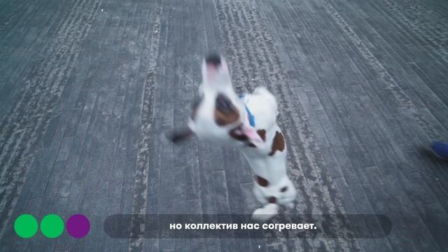 Manizha — Второй Samsung в подарок Бекстейдж смотреть онлайн