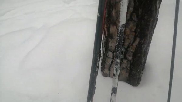 Не благоприятная погода для Madshus Activesonic Combi