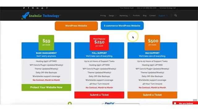 Simple WordPress Support and Maintenance смотреть онлайн