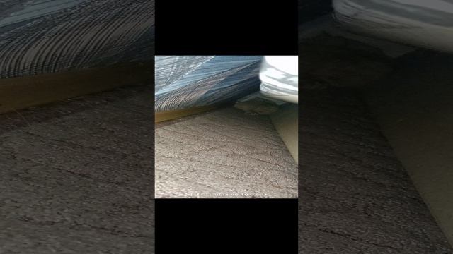 Луганск после обстрела кот не выходит и не кушает