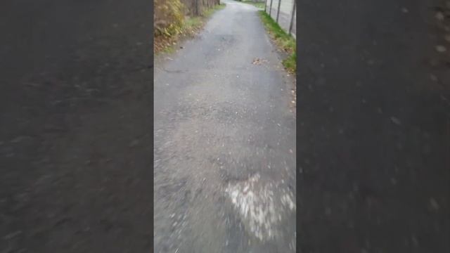 ?вторая часть мини влога про наше утро ? смотреть онлайн