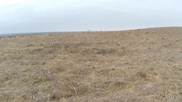 СЕЗОН ОТКРЫТ 2023 смотреть онлайн