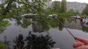 #340 #Мормышинг | Безбородые крючки в мормышинге |